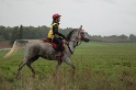 03 - 90km GIALLO